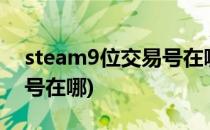 steam9位交易号在哪看(steam7至9位交易号在哪)