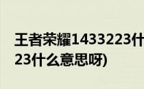 王者荣耀1433223什么意思(王者荣耀1433223什么意思呀)
