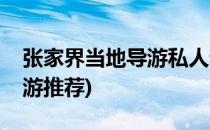 张家界当地导游私人订制线路(张家界私人导游推荐)