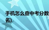 手机怎么查中考分数(手机怎么查中考分数排名)