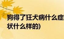 狗得了狂犬病什么症状(狗得了狂犬病什么症状什么样的)