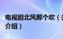 电视剧北风那个吹（关于电视剧北风那个吹的介绍）