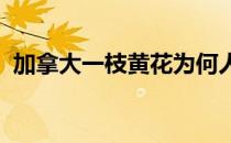 加拿大一枝黄花为何人人喊打蚂蚁新村答案