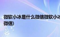 微软小冰是什么微信微软小冰怎么领养、使用(微软小冰绑定微信)