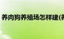 养肉狗养殖场怎样建(养肉狗养殖场怎样建好)
