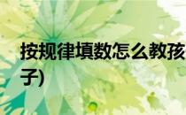 按规律填数怎么教孩子(按规律填数怎么教孩子)