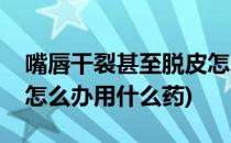 嘴唇干裂甚至脱皮怎么办(嘴唇干裂甚至脱皮怎么办用什么药)