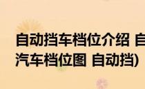 自动挡车档位介绍 自动挡车档位P R N D L(汽车档位图 自动挡)