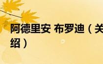 阿德里安 布罗迪（关于阿德里安 布罗迪的介绍）