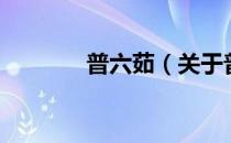 普六茹（关于普六茹的介绍）
