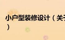小户型装修设计（关于小户型装修设计的介绍）