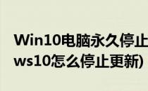 Win10电脑永久停止更新的方法(电脑windows10怎么停止更新)