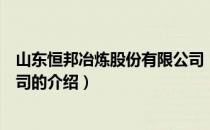 山东恒邦冶炼股份有限公司（关于山东恒邦冶炼股份有限公司的介绍）