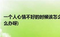 一个人心情不好的时候该怎么办(一个人心情不好的时候该怎么办呀)