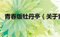 青春版牡丹亭（关于青春版牡丹亭的介绍）