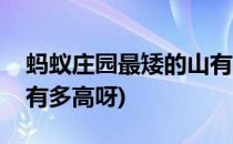 蚂蚁庄园最矮的山有多高(蚂蚁庄园最矮的山有多高呀)