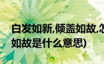 白发如新,倾盖如故,怎么解释?(白头如新倾盖如故是什么意思)