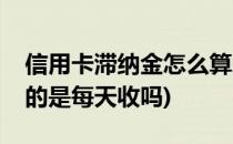 信用卡滞纳金怎么算的(信用卡滞纳金怎么算的是每天收吗)