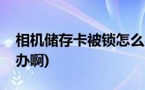 相机储存卡被锁怎么办(相机储存卡被锁怎么办啊)