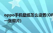 oppo手机壁纸怎么设置(OPPO手机壁纸怎么设置一个屏幕一张照片)