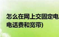 怎么在网上交固定电话费(怎么在网上交固定电话费和宽带)