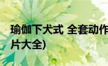 瑜伽下犬式 全套动作图片分解(瑜伽下犬式图片大全)