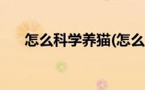 怎么科学养猫(怎么科学养猫让猫长寿)