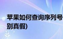 苹果如何查询序列号(苹果如何查询序列号辨别真假)
