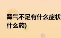 肾气不足有什么症状(肾气不足有什么症状吃什么药)
