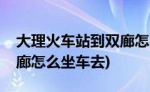 大理火车站到双廊怎么坐车(大理火车站到双廊怎么坐车去)