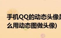 手机QQ的动态头像是怎么制作的(手机qq怎么用动态图做头像)