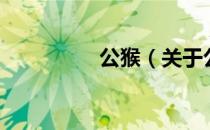 公猴（关于公猴的介绍）