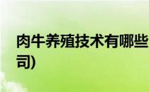 肉牛养殖技术有哪些(肉牛养殖技术有哪些公司)