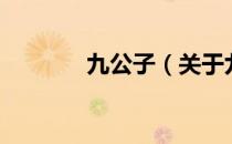 九公子（关于九公子的介绍）