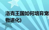 洛克王国如何培育宠物(洛克王国如何培育宠物进化)