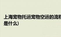 上海宠物托运宠物空运的流程(上海宠物托运宠物空运的流程是什么)