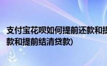 支付宝花呗如何提前还款和提前结清(支付宝花呗如何提前还款和提前结清贷款)