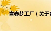青春梦工厂（关于青春梦工厂的介绍）