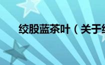 绞股蓝茶叶（关于绞股蓝茶叶的介绍）