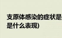 支原体感染的症状是什么(支原体感染的症状是什么表现)