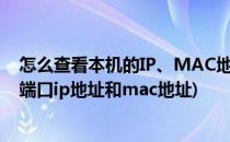 怎么查看本机的IP、MAC地址和端口占用情况(查看交换机端口ip地址和mac地址)