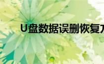 U盘数据误删恢复方法(U盘误删恢复)