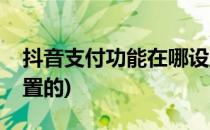抖音支付功能在哪设置(抖音支付功能在哪设置的)