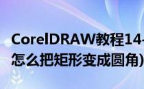 CorelDRAW教程14-画圆角矩形(coreldraw怎么把矩形变成圆角)