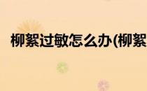 柳絮过敏怎么办(柳絮过敏怎么办才最有效)