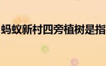蚂蚁新村四旁植树是指村旁、路旁、水旁还有