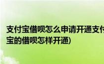 支付宝借呗怎么申请开通支付宝开通技巧(借呗怎么开通支付宝的借呗怎样开通)