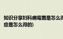 知识分享妇科病霉菌是怎么得的妇科炎症元凶(霉菌性妇科炎症是怎么得的)