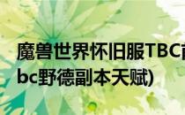 魔兽世界怀旧服TBC前夕野德天赋如何加点(tbc野德副本天赋)