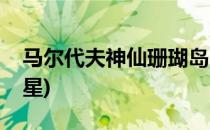 马尔代夫神仙珊瑚岛(马尔代夫神仙珊瑚岛几星)